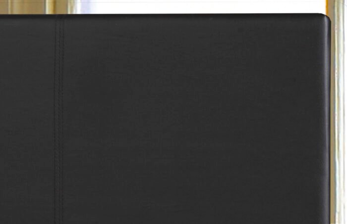 Emery Faux Leather Platform Bed